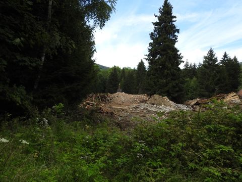 Foto 46